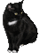 cat laurachan - Безплатен анимиран GIF анимиран GIF