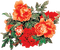 dolceluna red orange asian flowers - PNG gratuit GIF animé