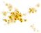 minou-yellow-flowers-effect - PNG gratuit GIF animé