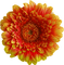 kukka, flower, fleur - PNG gratuit GIF animé