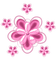 kikkapink deco scrap flower pink - gratis png animerad GIF