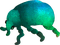 green beetle - png gratis GIF animado