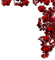 red flowers vine - PNG gratuit GIF animé