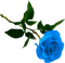 fleur, rose bleu , gif, Pelageya - PNG gratuit GIF animé