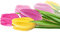 patymirabelle fleurs tulipes - PNG gratuit GIF animé