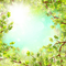 green background with leaves - darmowe png animowany gif