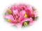 dulcineia8 flores - 免费PNG 动画 GIF