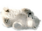 ours blanc - gratis png animeret GIF
