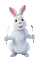 Rabbit.Lapin.Bunny.Conejo.eating.manger.Victoriabea - GIF animado grátis Gif Animado