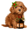 Perro con farol de navidad - png gratis GIF animado