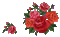 roses - Besplatni animirani GIF animirani GIF