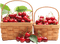 cherry basket Bb2 - Free PNG Animated GIF