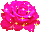 роза - Бесплатный анимированный гифка