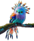 nbl-bird - png gratis GIF animado