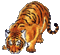tigre - Besplatni animirani GIF animirani GIF