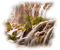 cecily-rocher cascade tube - PNG gratuit GIF animé