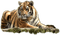 Kaz_Creations Tiger - bezmaksas png animēts GIF