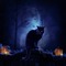 halloween cat - gratis png animerad GIF