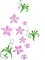 flores*kn* - png gratis GIF animasi