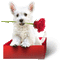 Cute little Dog - GIF animate gratis GIF animata