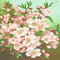 soave background animated spring vintage flowers - GIF animé gratuit GIF animé