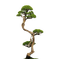 tree - darmowe png animowany gif