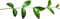 plant - nemokama png animuotas GIF