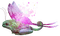 mint fairy frog - безплатен png анимиран GIF