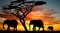 Africa background bp - PNG gratuit GIF animé