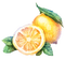 lemon Bb2 - darmowe png animowany gif