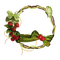 summer ete  strawberry pearls plant   frame cadre rahmen tube - 免费PNG 动画 GIF