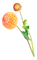 flowers autumn flower vintage kikkapink - бесплатно png анимированный гифка