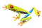 grenouille - gratis png geanimeerde GIF