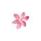kikkapink deco scrap pink flower - png gratis GIF animasi
