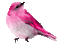 Pink Bird - GIF animasi gratis GIF animasi