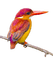 birds katrin - png gratis GIF animasi