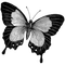papillon - png gratuito GIF animata