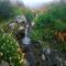 landscape paysage brook creek bach water eau ruisseau spring printemps garden jardin background fond gif anime animated animation - Безплатен анимиран GIF анимиран GIF