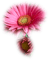 Kaz_Creations Deco Flowers Colours Flower - δωρεάν png κινούμενο GIF