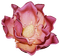 Kaz_Creations Flowers Flower Deco - gratis png animeret GIF