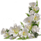 Kaz_Creations Deco Corner Flowers Colours - gratis png geanimeerde GIF