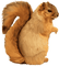 Brown Squirrel - GIF animé gratuit