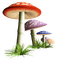 mushrooms Bb2 - besplatni png animirani GIF