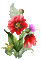 summer flowers  poppy seed thistle - Gratis geanimeerde GIF geanimeerde GIF