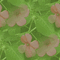 Hintergrund, Blumen - Ingyenes animált GIF animált GIF