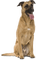 perro by EstrellaCristal - png gratis GIF animasi