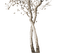 autumn tree sepia kikkapink - zadarmo png animovaný GIF