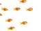 goldfish - Free animated GIF Animated GIF
