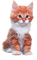 cat katze milla1959 - Free PNG Animated GIF
