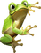 frog - darmowe png animowany gif